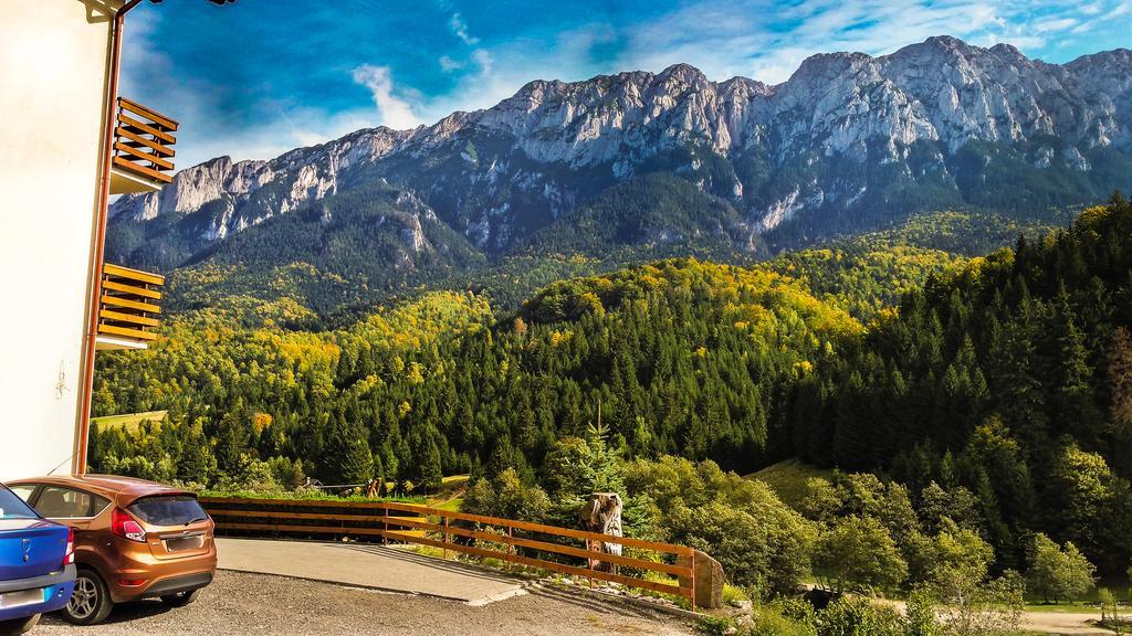 Panorama Pietrei Craiului Ξενοδοχείο Zărneşti Εξωτερικό φωτογραφία